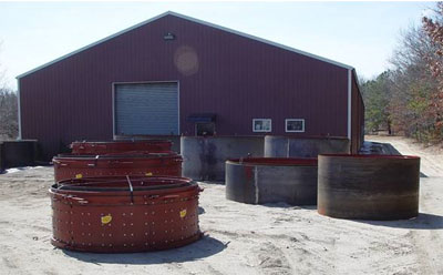 Dynasty Metal Works Building